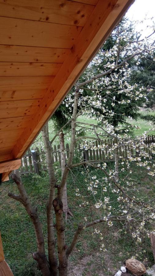 Pokoje U Adama Grajoka Szczawnica Extérieur photo