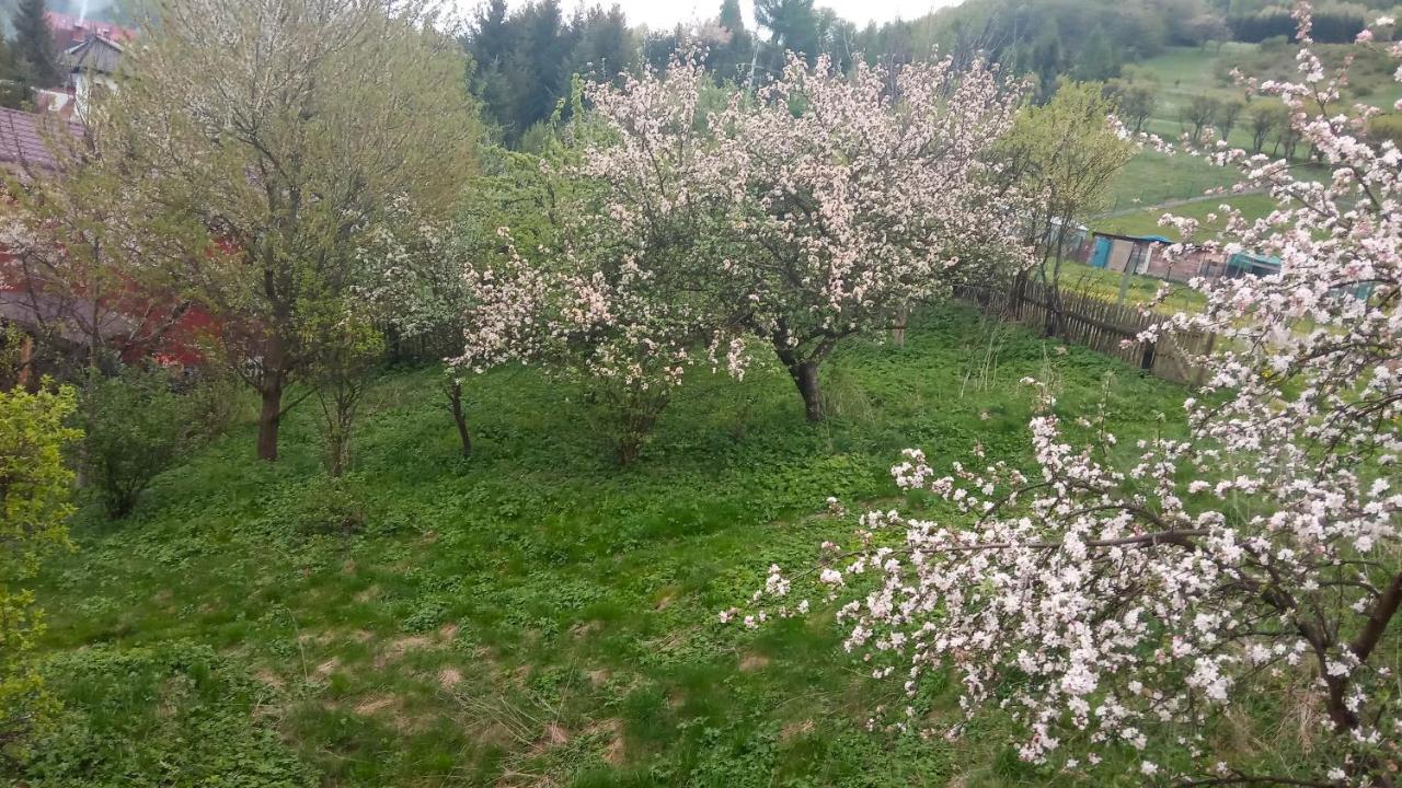 Pokoje U Adama Grajoka Szczawnica Extérieur photo
