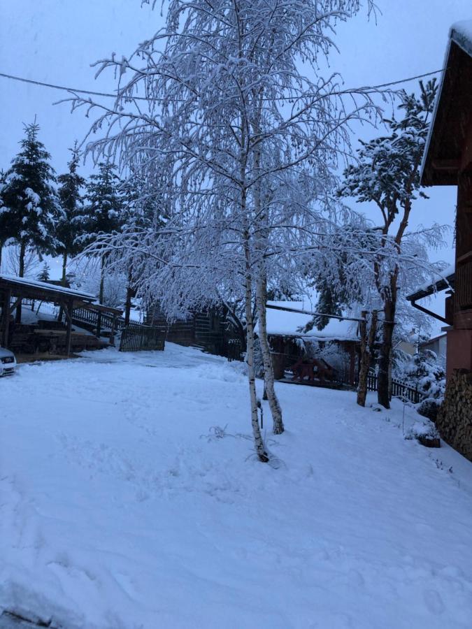 Pokoje U Adama Grajoka Szczawnica Extérieur photo