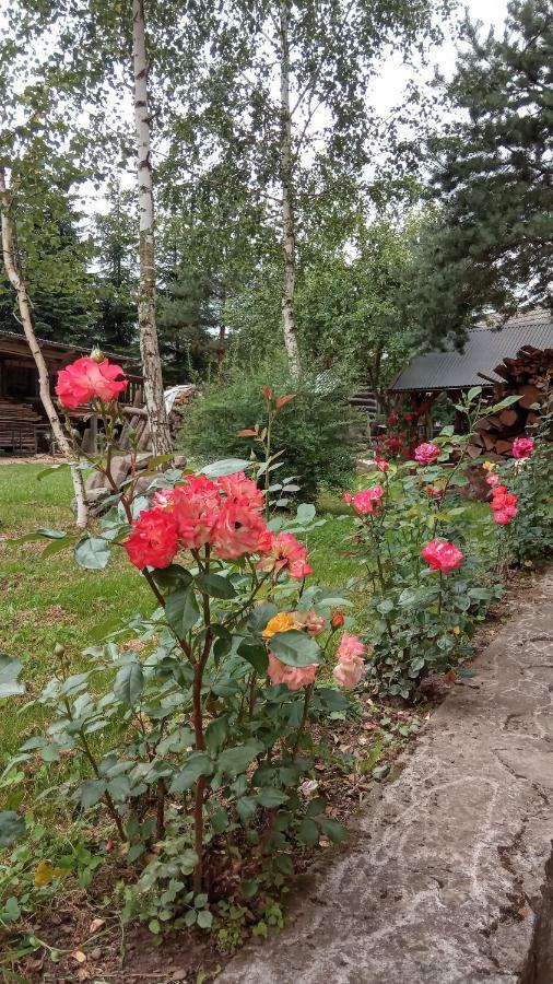 Pokoje U Adama Grajoka Szczawnica Extérieur photo